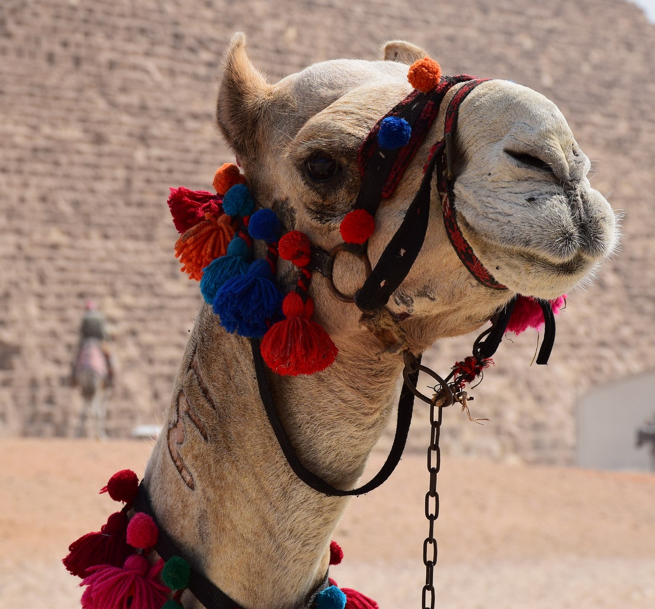 The Influence of Ancient Egypt on Modern Science